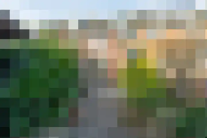 Mozartlaan 85 Waddinxveen thumbnail 42