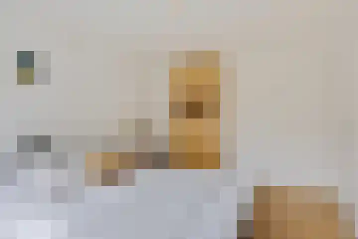 Mozartlaan 93 Enschede thumbnail 31