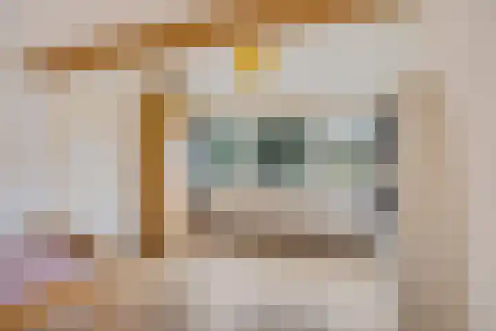 Mozartlaan 93 Enschede thumbnail 39