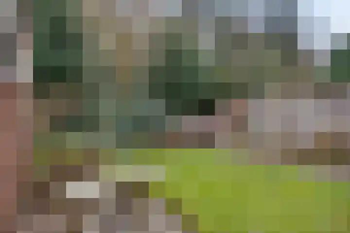 Mozartlaan 93 Enschede thumbnail 43