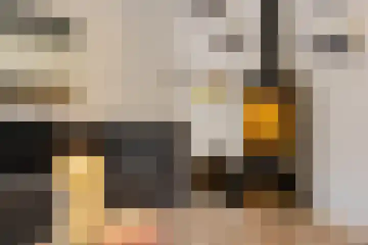 Mozartlaan 93 Enschede thumbnail 9