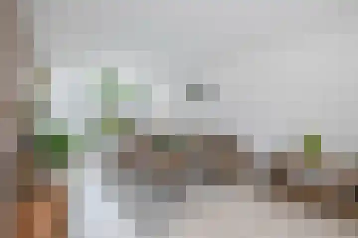 Mozartlaan 97 Waddinxveen thumbnail 10