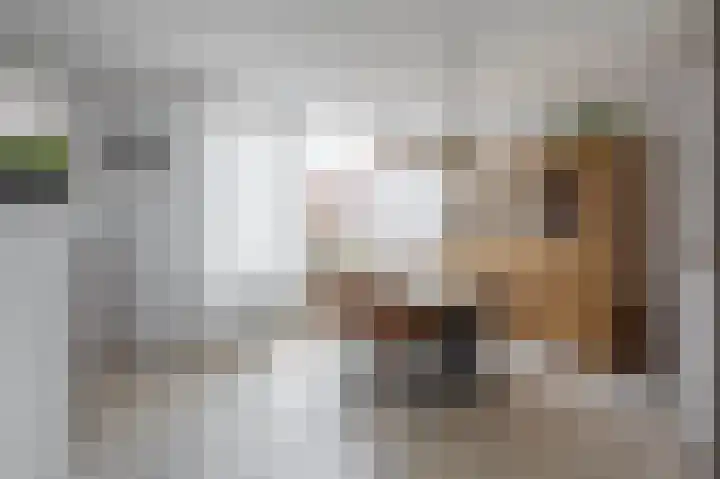 Mozartlaan 97 Waddinxveen thumbnail 12