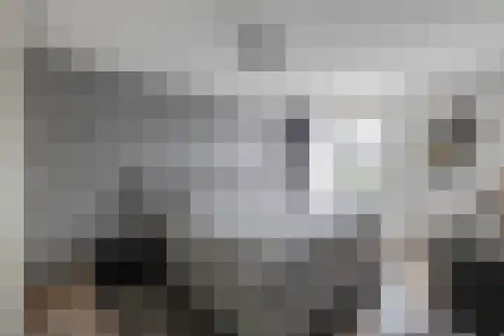 Mozartlaan 97 Waddinxveen thumbnail 21