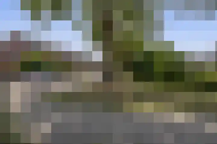 Mozartlaan 97 Waddinxveen thumbnail 33