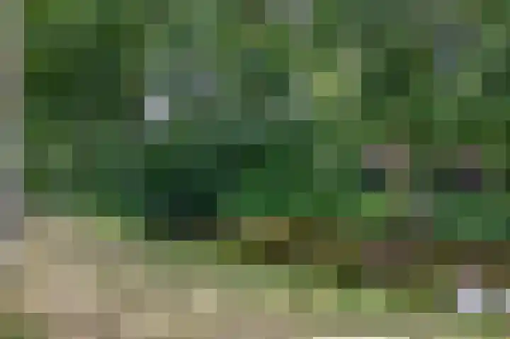 Mozartlaan 97 Waddinxveen thumbnail 35