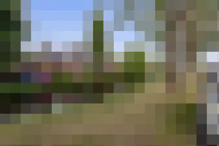 Mozartlaan 97 Waddinxveen thumbnail 36