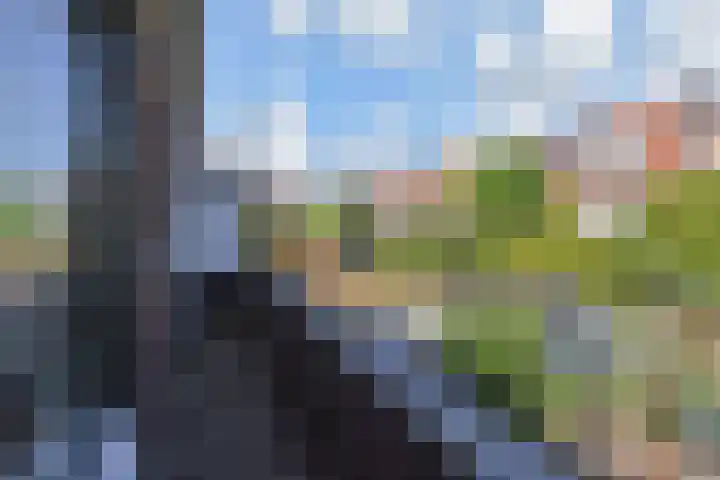 Mozartlaan 99 Den Haag thumbnail 28