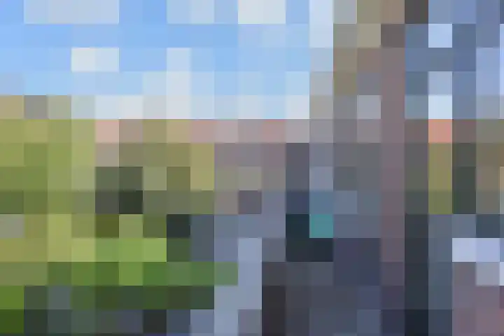 Mozartlaan 99 Den Haag thumbnail 29