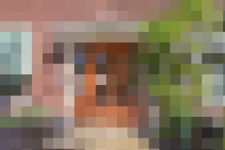 Mozartlaan 99 Den Haag thumbnail 31