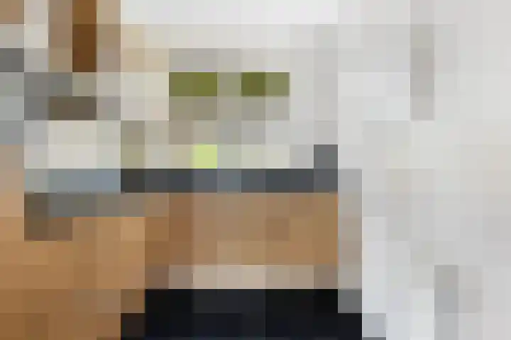 Mozartplantsoen 14 Sliedrecht thumbnail 11