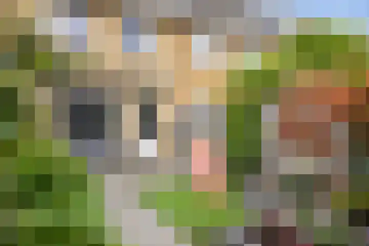 Mozartplantsoen 14 Sliedrecht thumbnail 16