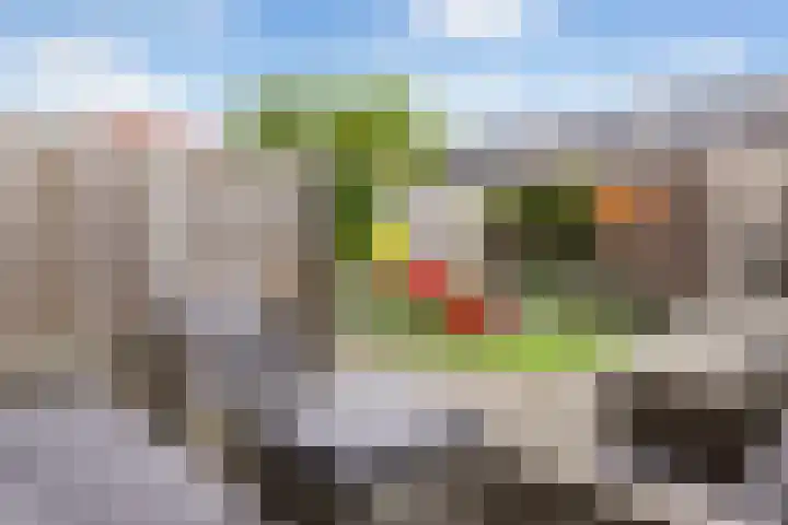 Mozartplantsoen 14 Sliedrecht thumbnail 18