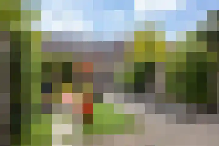 Mozartplantsoen 14 Sliedrecht thumbnail 19