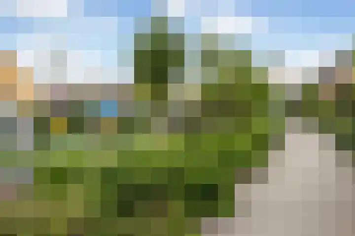 Mozartplantsoen 14 Sliedrecht thumbnail 35