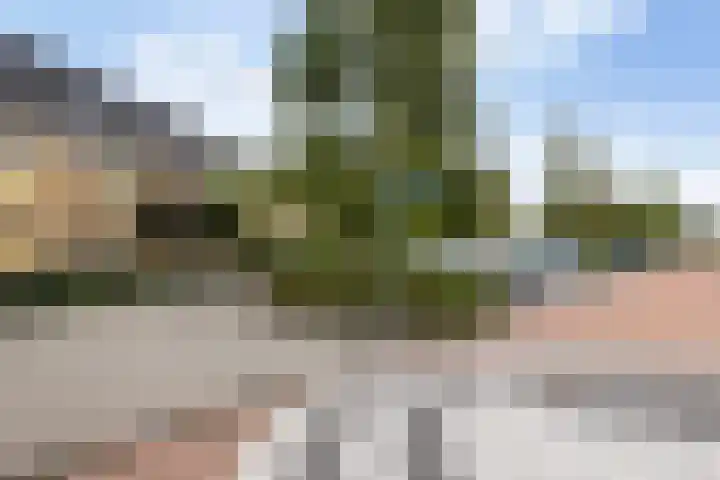 Mozartplantsoen 14 Sliedrecht thumbnail 36