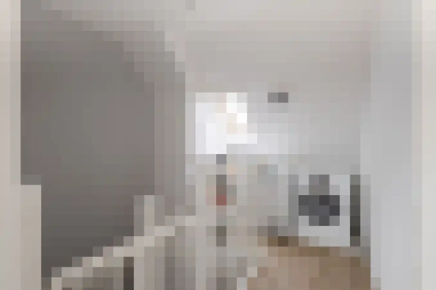 Mozartplantsoen 48 Sliedrecht thumbnail 16