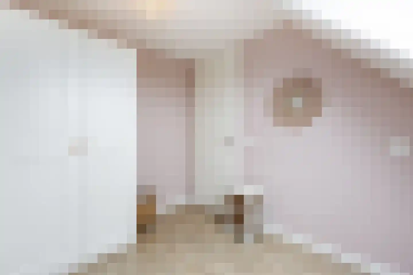 Mozartplantsoen 48 Sliedrecht thumbnail 20