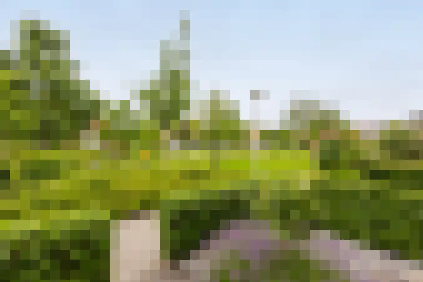 Mozartplantsoen 48 Sliedrecht thumbnail 26