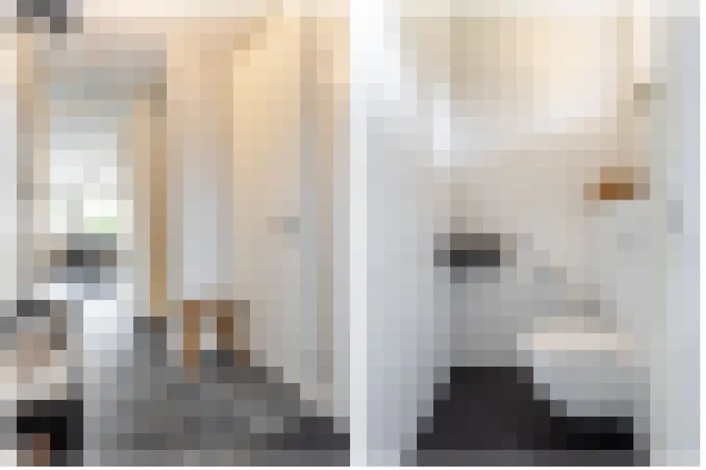 Mozartplantsoen 48 Sliedrecht thumbnail 8