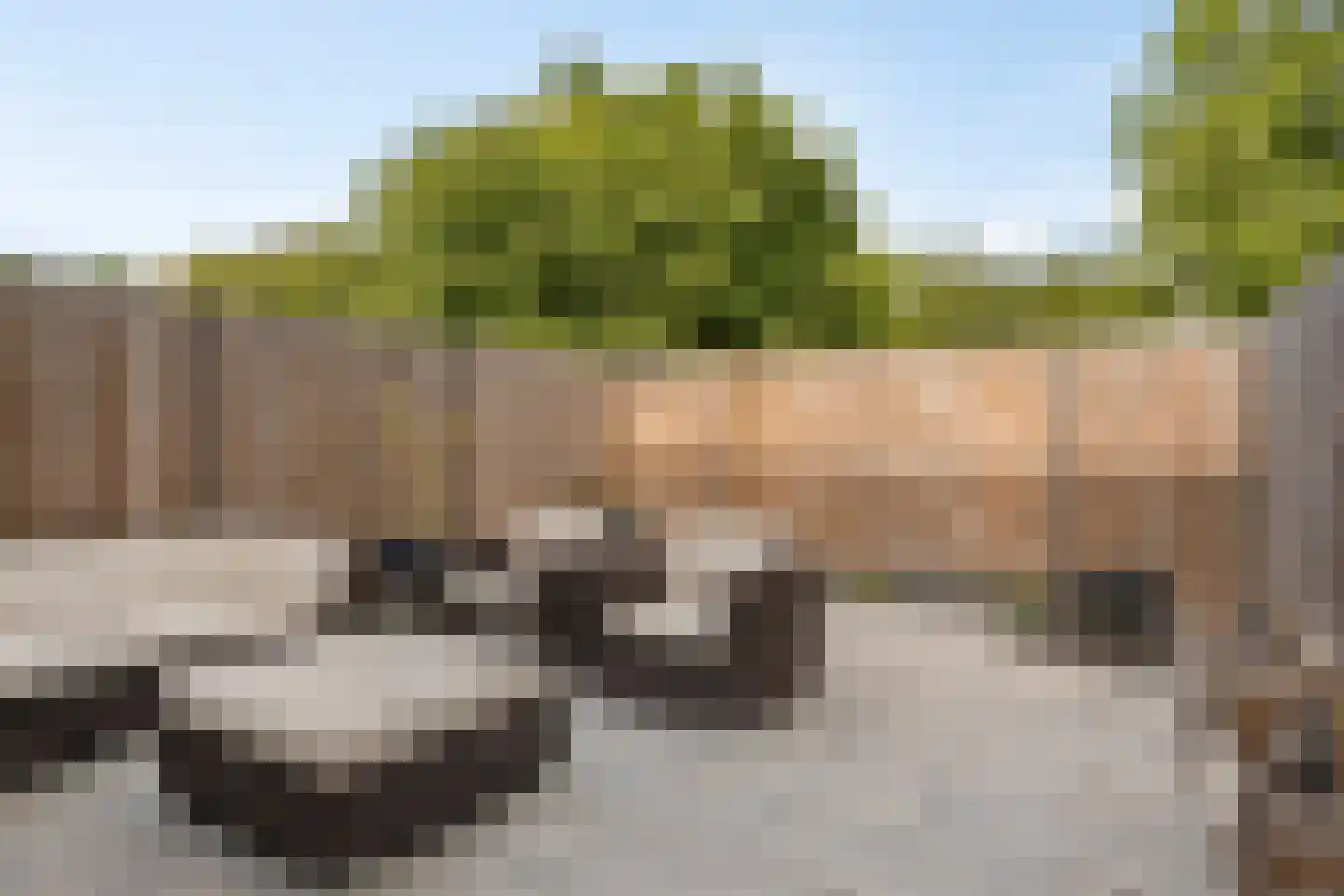 Mozartrode 7 Zoetermeer thumbnail 18