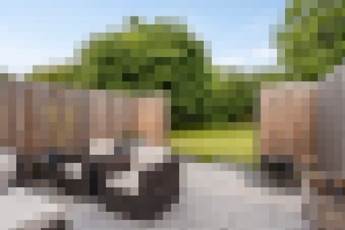 Mozartrode 7 Zoetermeer thumbnail 19