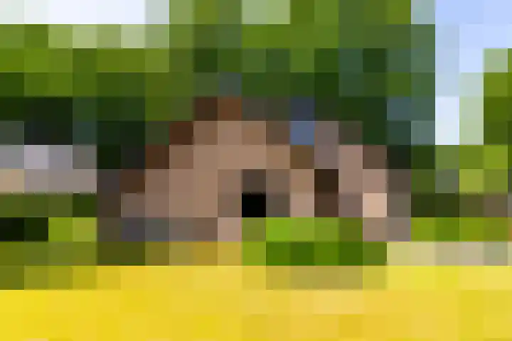 Mozartstraat 1 Eerbeek thumbnail 31
