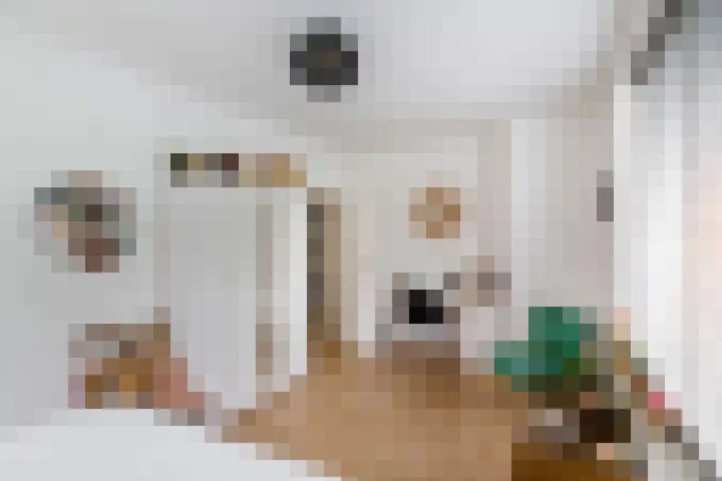 Mozartstraat 1 Groningen thumbnail 20