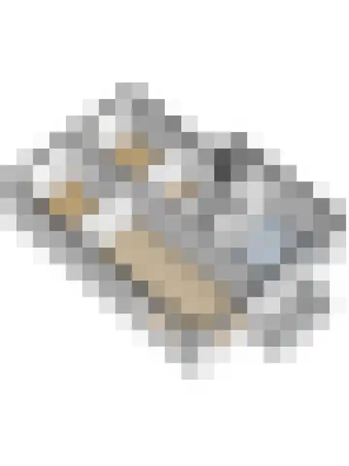 Mozartstraat 106 Ridderkerk thumbnail 44