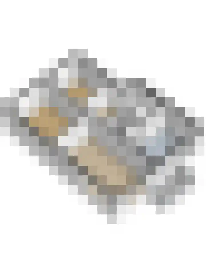 Mozartstraat 108 Ridderkerk thumbnail 39