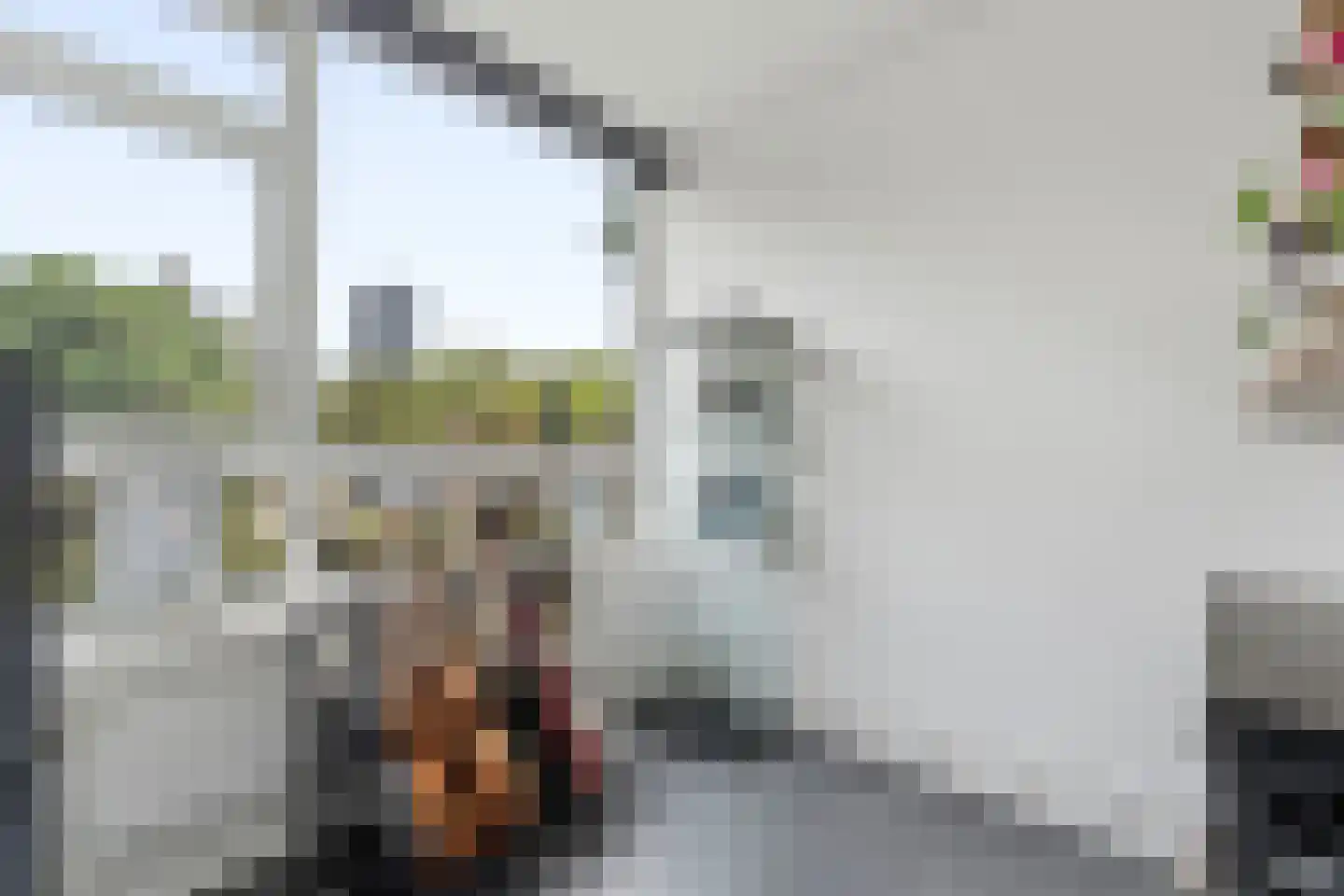Mozartstraat 109 Leiden thumbnail 32