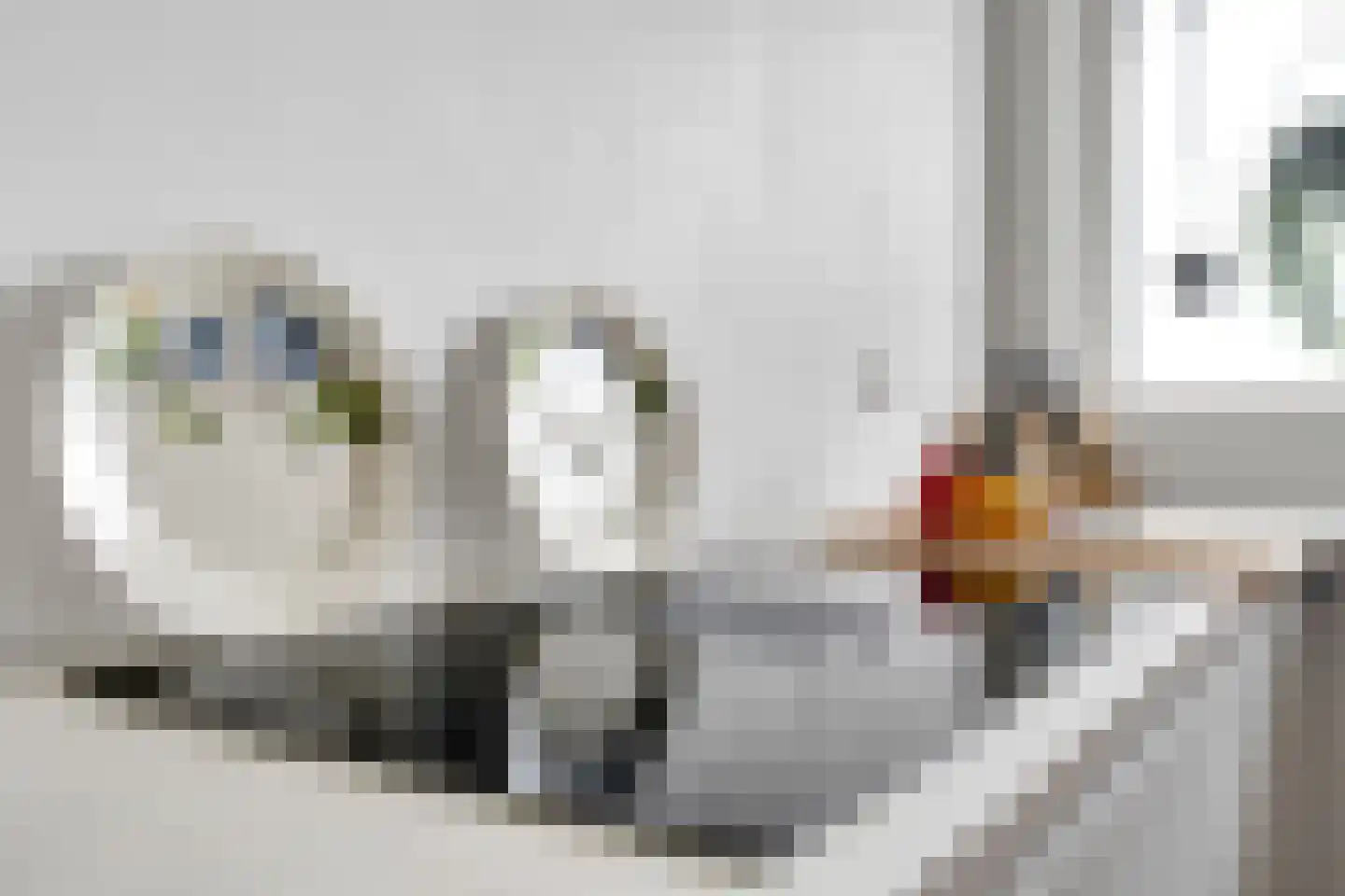 Mozartstraat 114 Almelo thumbnail 18