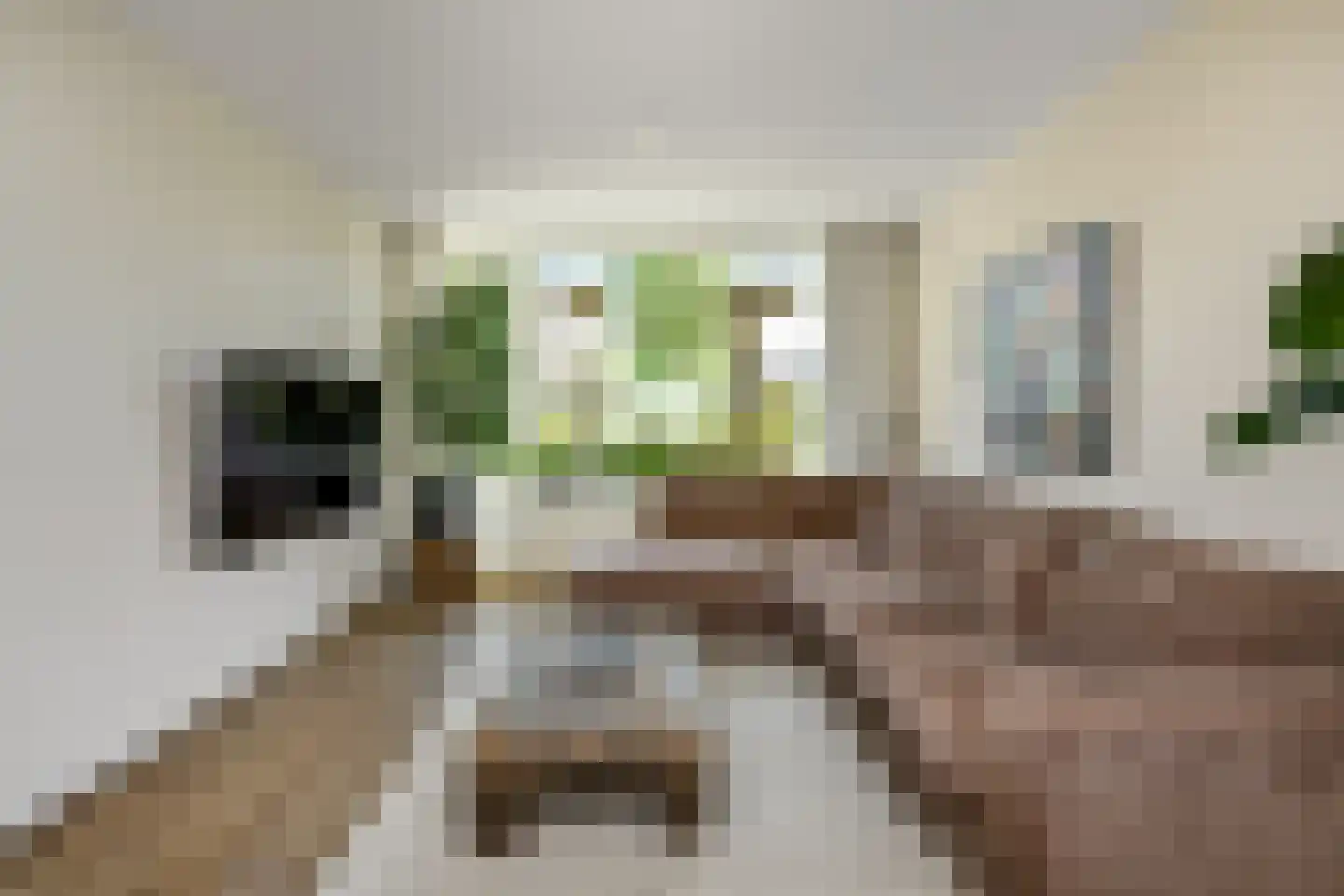Mozartstraat 117 Elst thumbnail 14