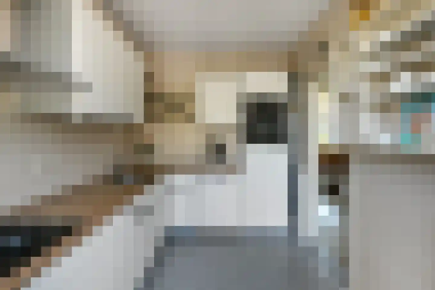 Mozartstraat 117 Elst thumbnail 20