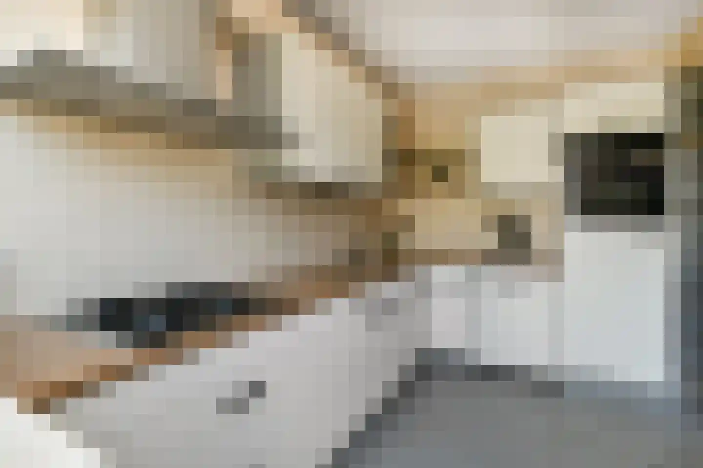 Mozartstraat 117 Elst thumbnail 21