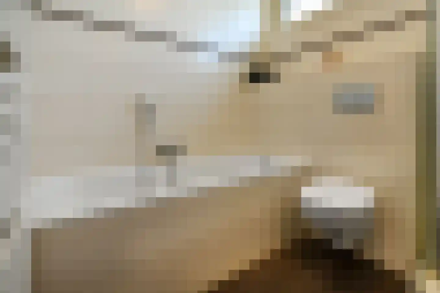 Mozartstraat 117 Elst thumbnail 32