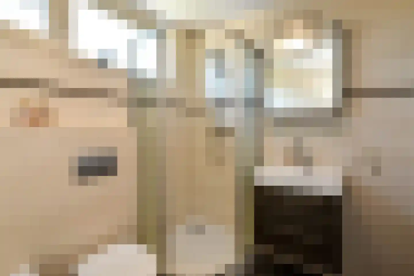 Mozartstraat 117 Elst thumbnail 33