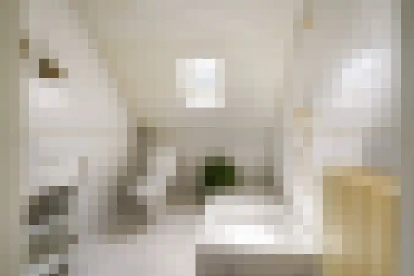 Mozartstraat 12 Kaatsheuvel thumbnail 32
