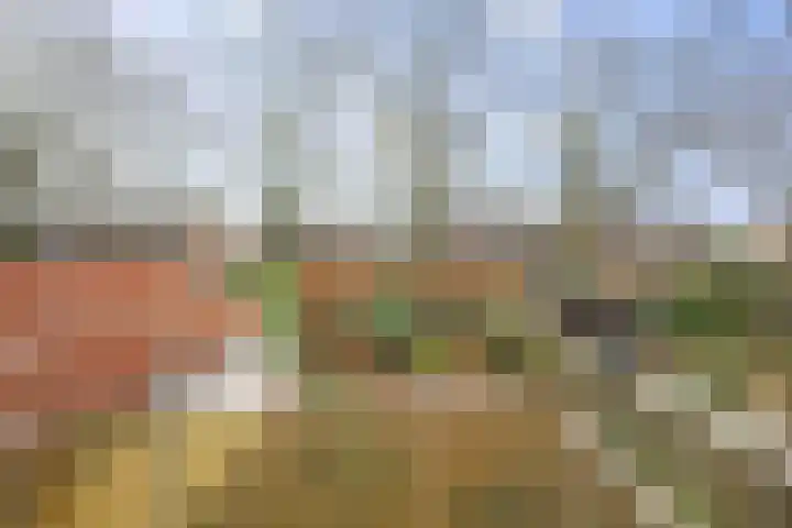 Mozartstraat 124 Twello thumbnail 22