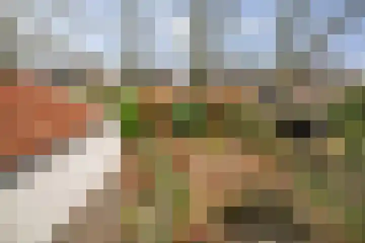 Mozartstraat 124 Twello thumbnail 23