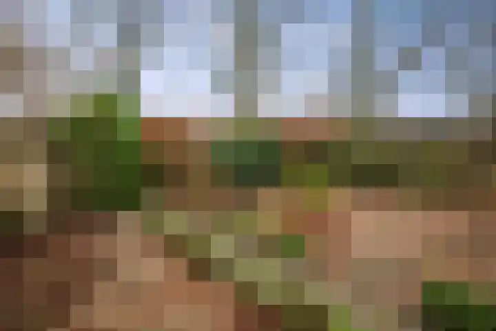 Mozartstraat 124 Twello thumbnail 28