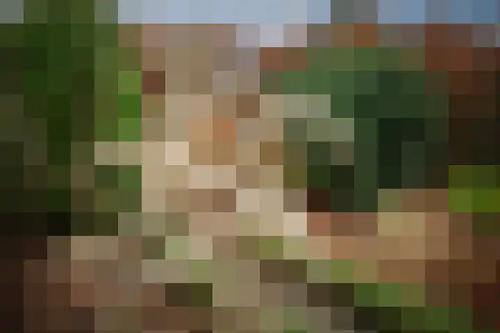Mozartstraat 124 Twello thumbnail 30