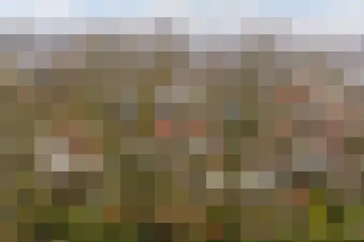 Mozartstraat 124 Twello thumbnail 34