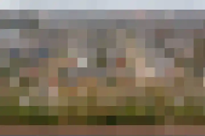 Mozartstraat 124 Twello thumbnail 36