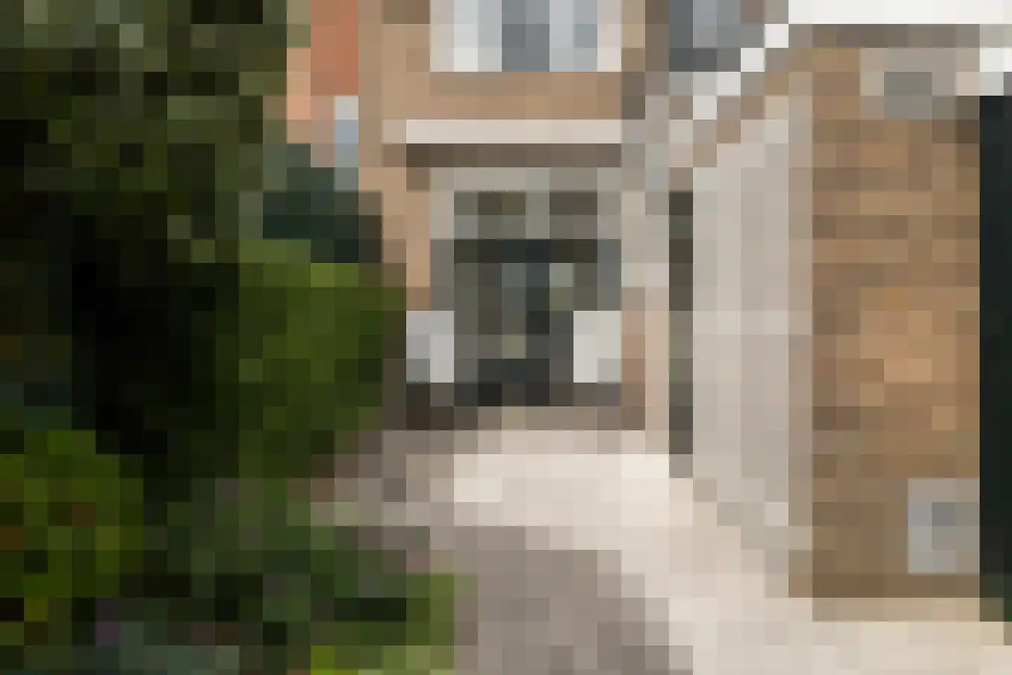 Mozartstraat 125 Leeuwarden thumbnail 25