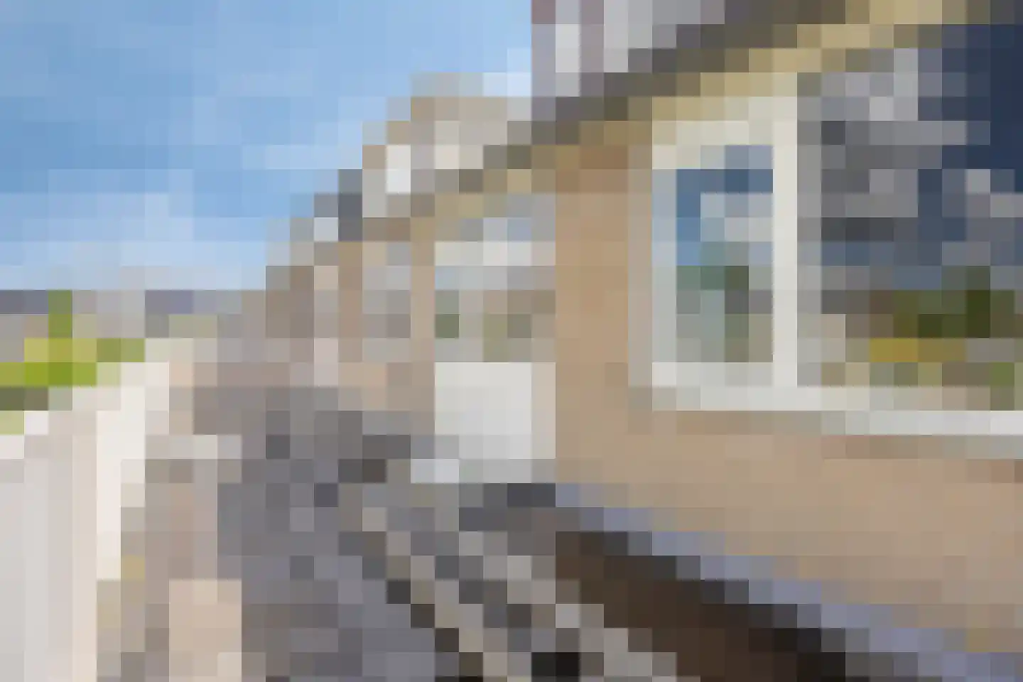 Mozartstraat 13 Nieuwerkerk aan den IJssel thumbnail 29