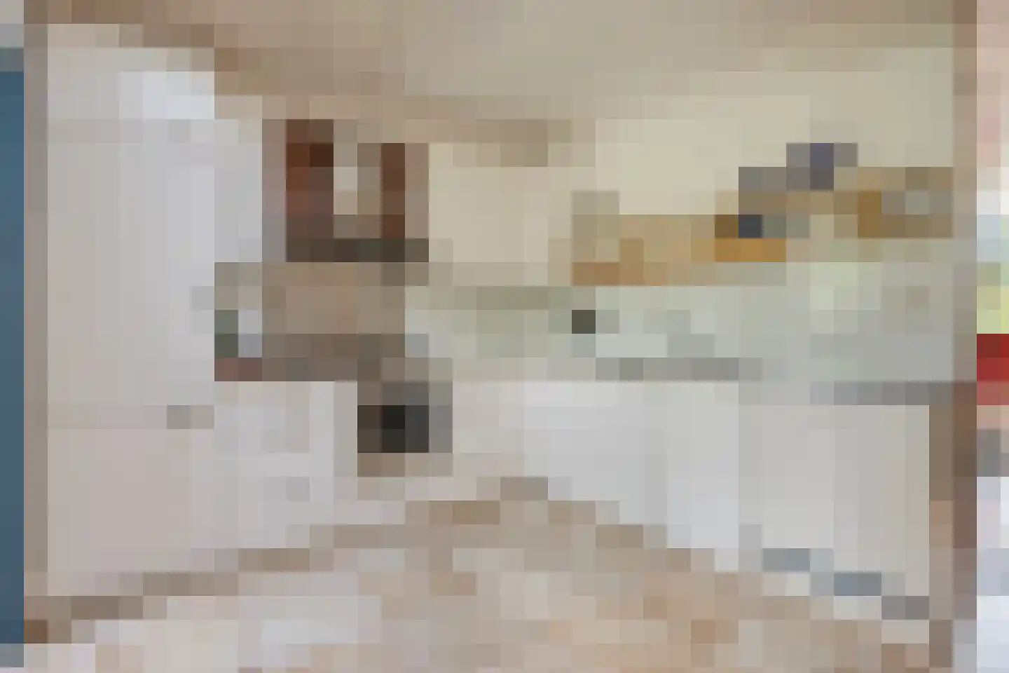 Mozartstraat 13 Nieuwerkerk aan den IJssel thumbnail 7
