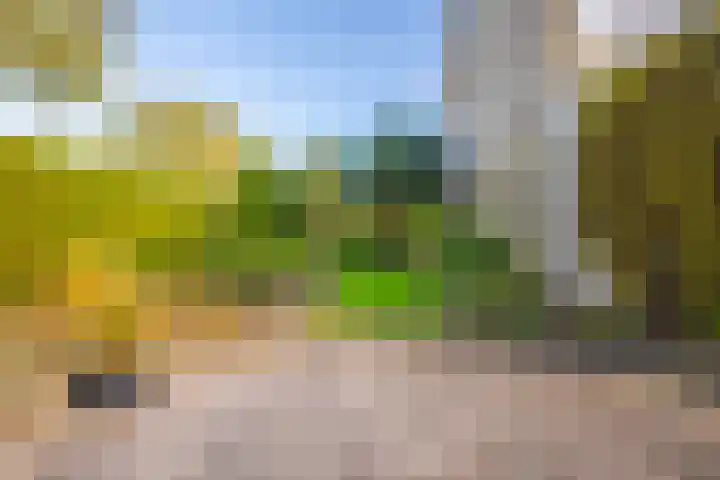 Mozartstraat 131 Elst thumbnail 22