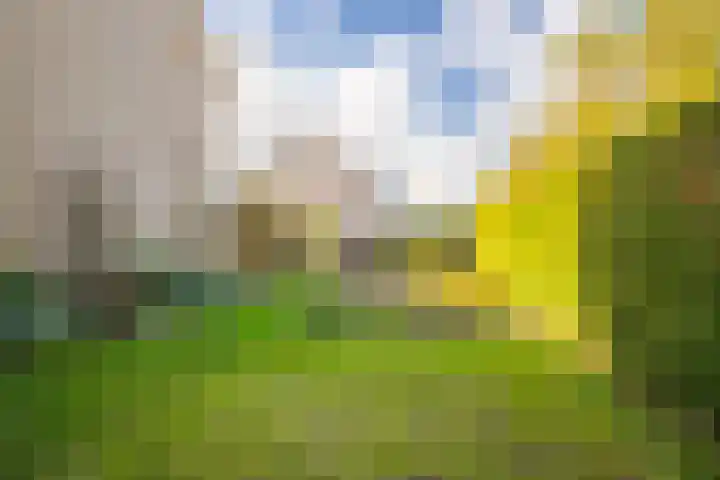 Mozartstraat 131 Elst thumbnail 23