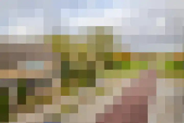 Mozartstraat 131 Elst thumbnail 4